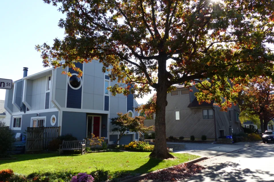 Two-story wooden homes with big tree in front in Arlington County, Virginia